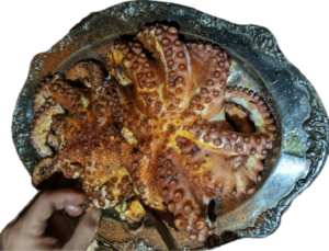 A person holding an octopus in their hand.